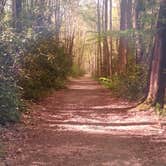 Review photo of Elkmont Campground — Great Smoky Mountains National Park by Tonya B., May 17, 2017