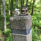Review photo of Lewis Mountain Campground — Shenandoah National Park by Danielle V., June 18, 2016