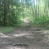 Review photo of Elkmont Campground — Great Smoky Mountains National Park by Tonya B., May 17, 2017