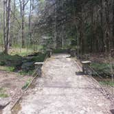 Review photo of Elkmont Campground — Great Smoky Mountains National Park by Tonya B., May 17, 2017