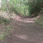 Review photo of Elkmont Campground — Great Smoky Mountains National Park by Tonya B., May 17, 2017