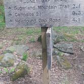 Review photo of Elkmont Campground — Great Smoky Mountains National Park by Tonya B., May 17, 2017