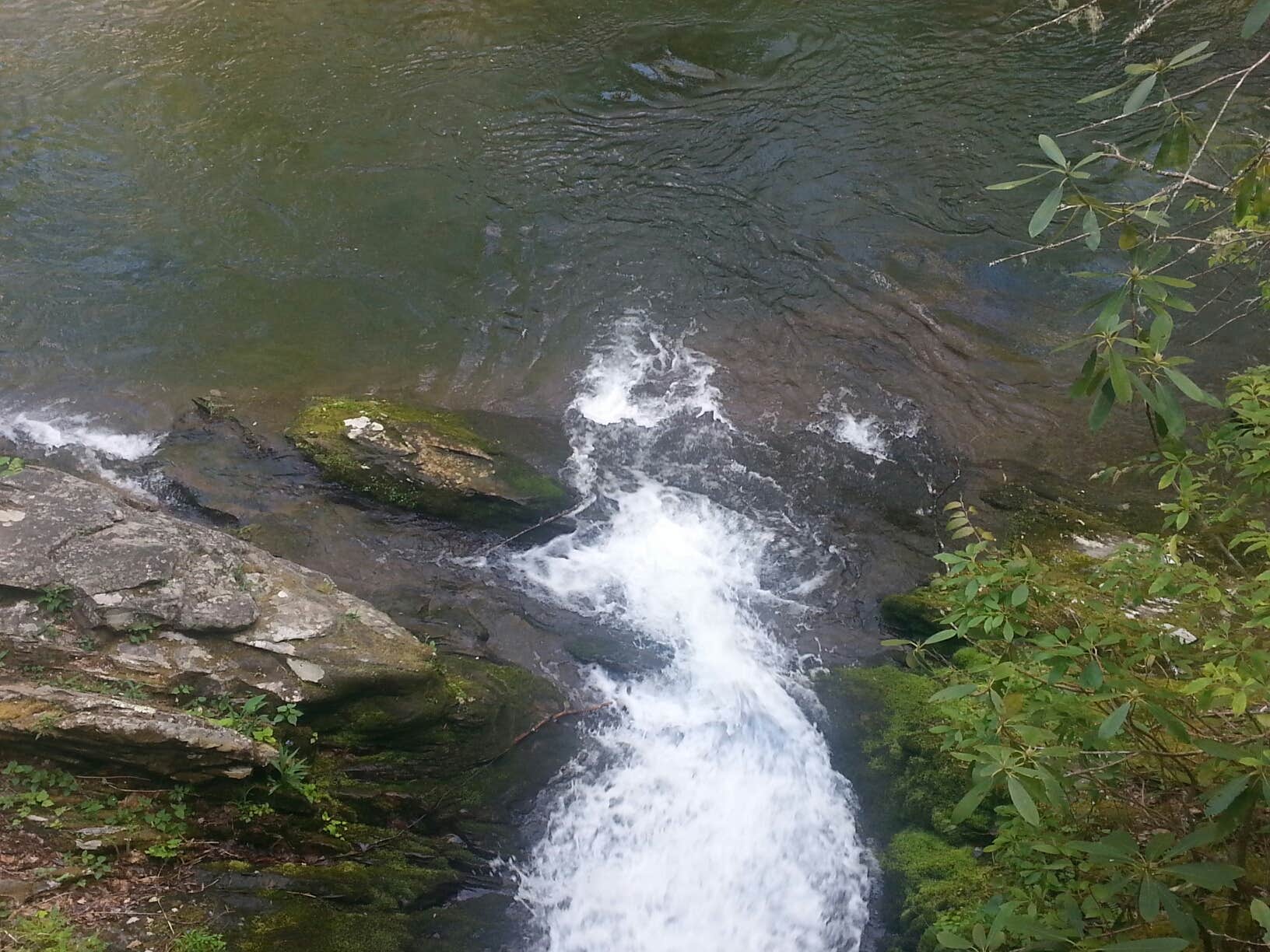 Elkmont Campground — Great Smoky Mountains National Park