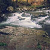 Review photo of Elkmont Campground — Great Smoky Mountains National Park by Tonya B., May 17, 2017