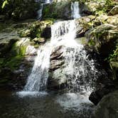 Review photo of Lewis Mountain Campground — Shenandoah National Park by Danielle V., June 18, 2016
