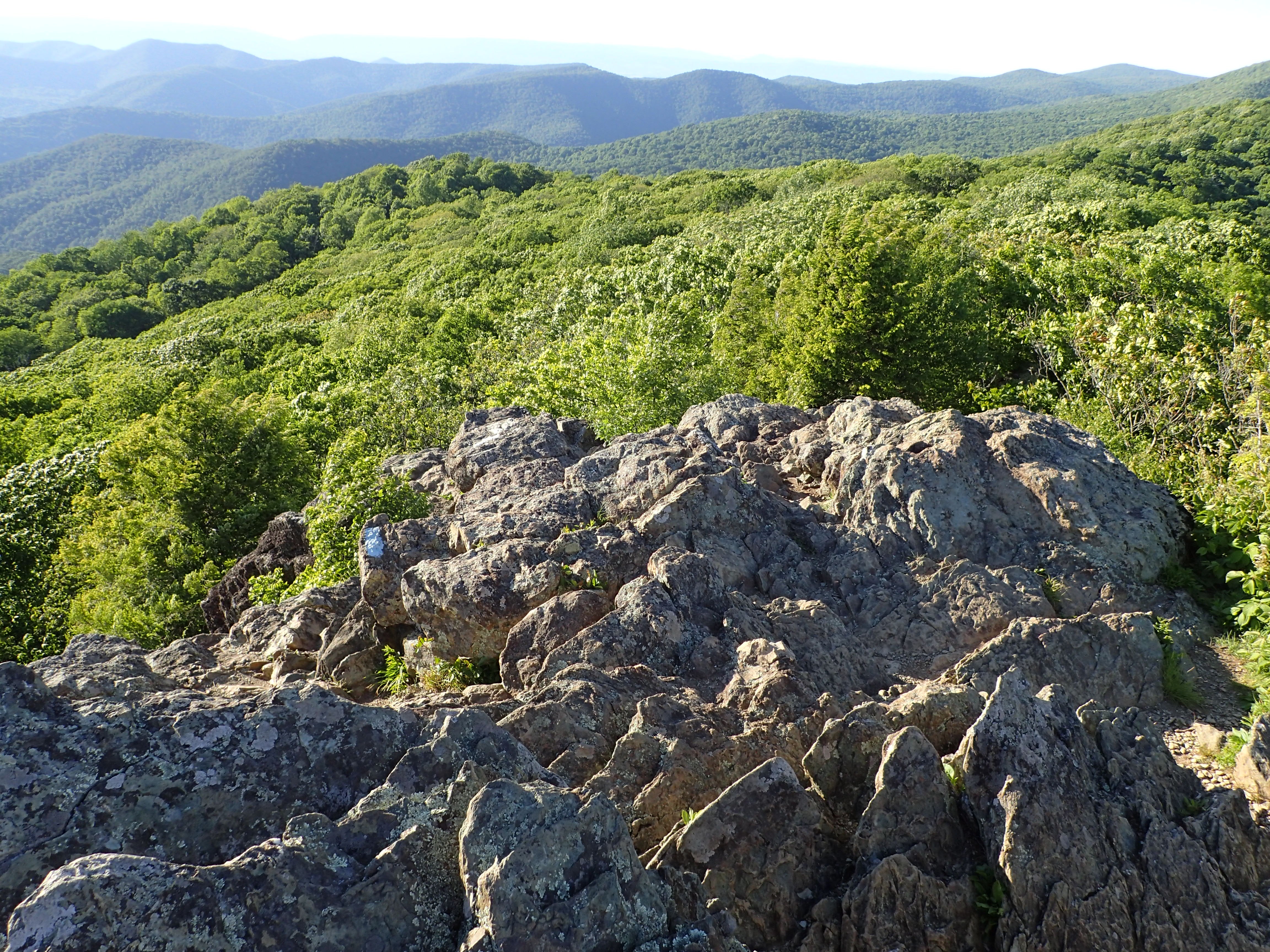 Camper submitted image from Lewis Mountain Campground — Shenandoah National Park - 2