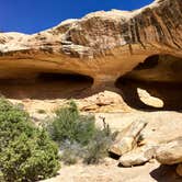 Review photo of Dispersed Campground - Goblin Valley by Carrie C., May 18, 2017