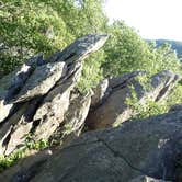 Review photo of Lewis Mountain Campground — Shenandoah National Park by Danielle V., June 18, 2016