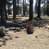 Review photo of Guffy Campground by Alexa S., May 18, 2017