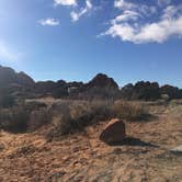 Review photo of Devils Garden Campground — Arches National Park by Sarah S., February 18, 2015