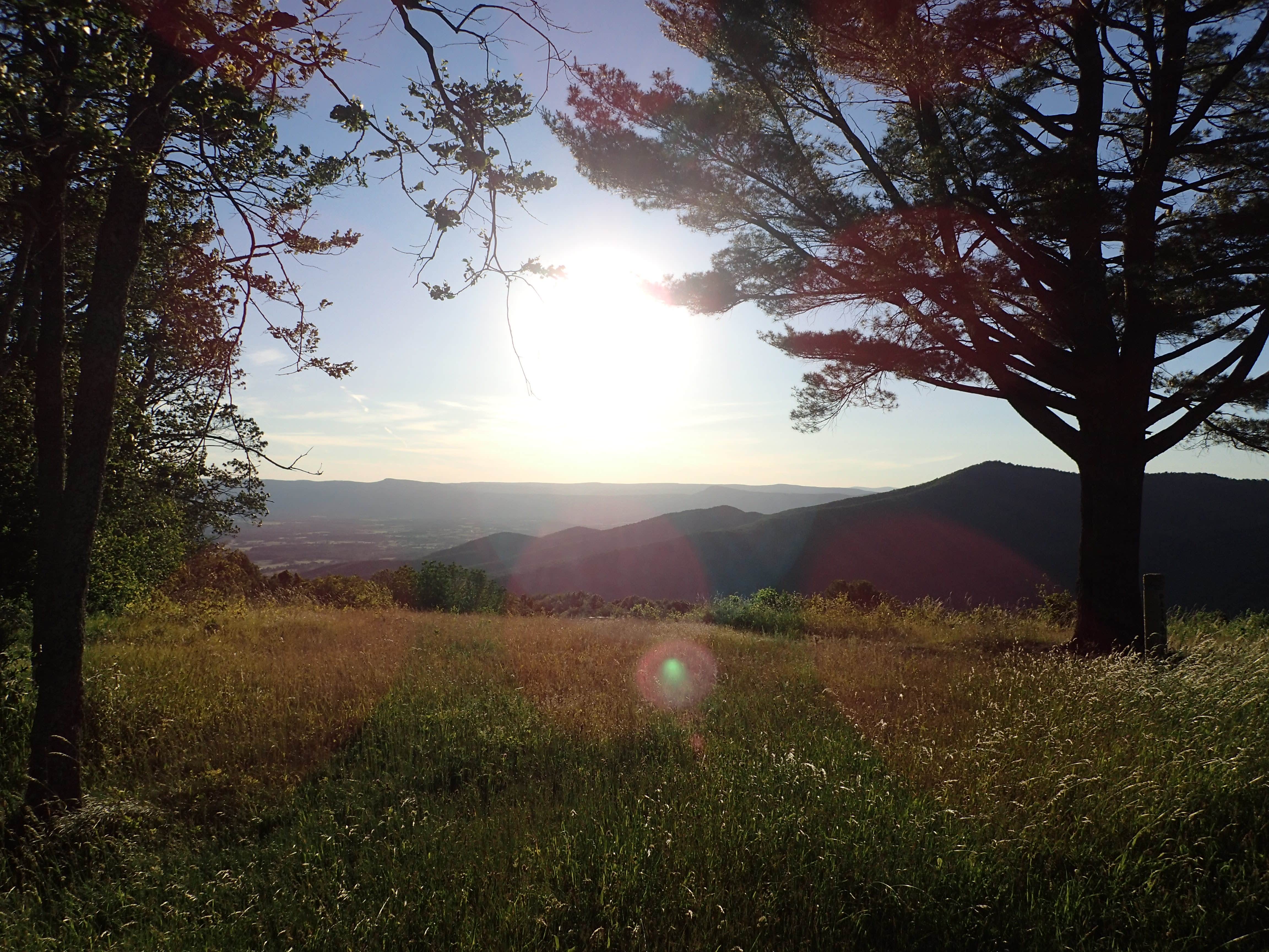 Camper-submitted photo at Lewis Mountain Campground — Shenandoah National Park near Flint Hill, VA