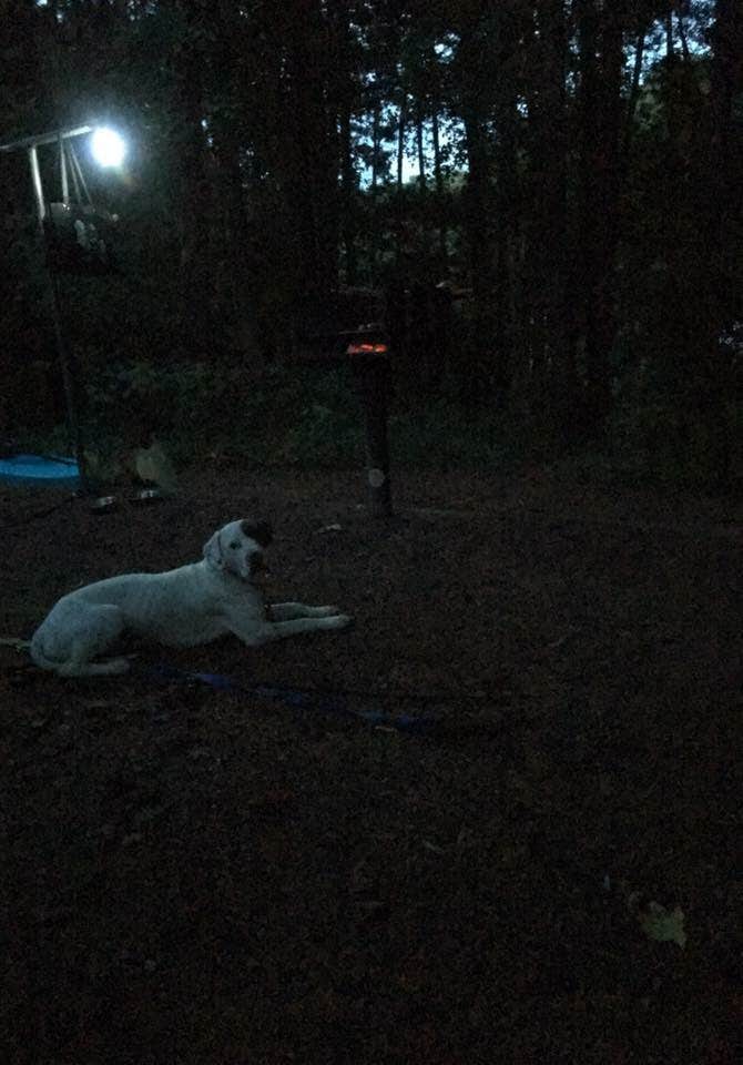Adriana C.'s photo of camping with pets at Victoria Campground near Decatur, GA