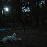 Review photo of Victoria Campground by Adriana C., May 19, 2017