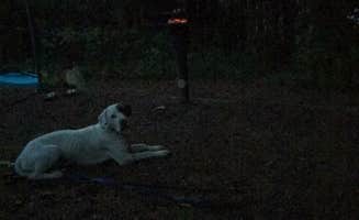 Adriana C.'s photo of camping with pets at Victoria Campground near Dallas, GA