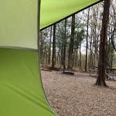 Review photo of Horine Reservation Camping at Jefferson County Memorial Forest  by Verity O., May 19, 2017
