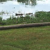 Review photo of Rockland Recreation Area by Shelly S., May 19, 2017