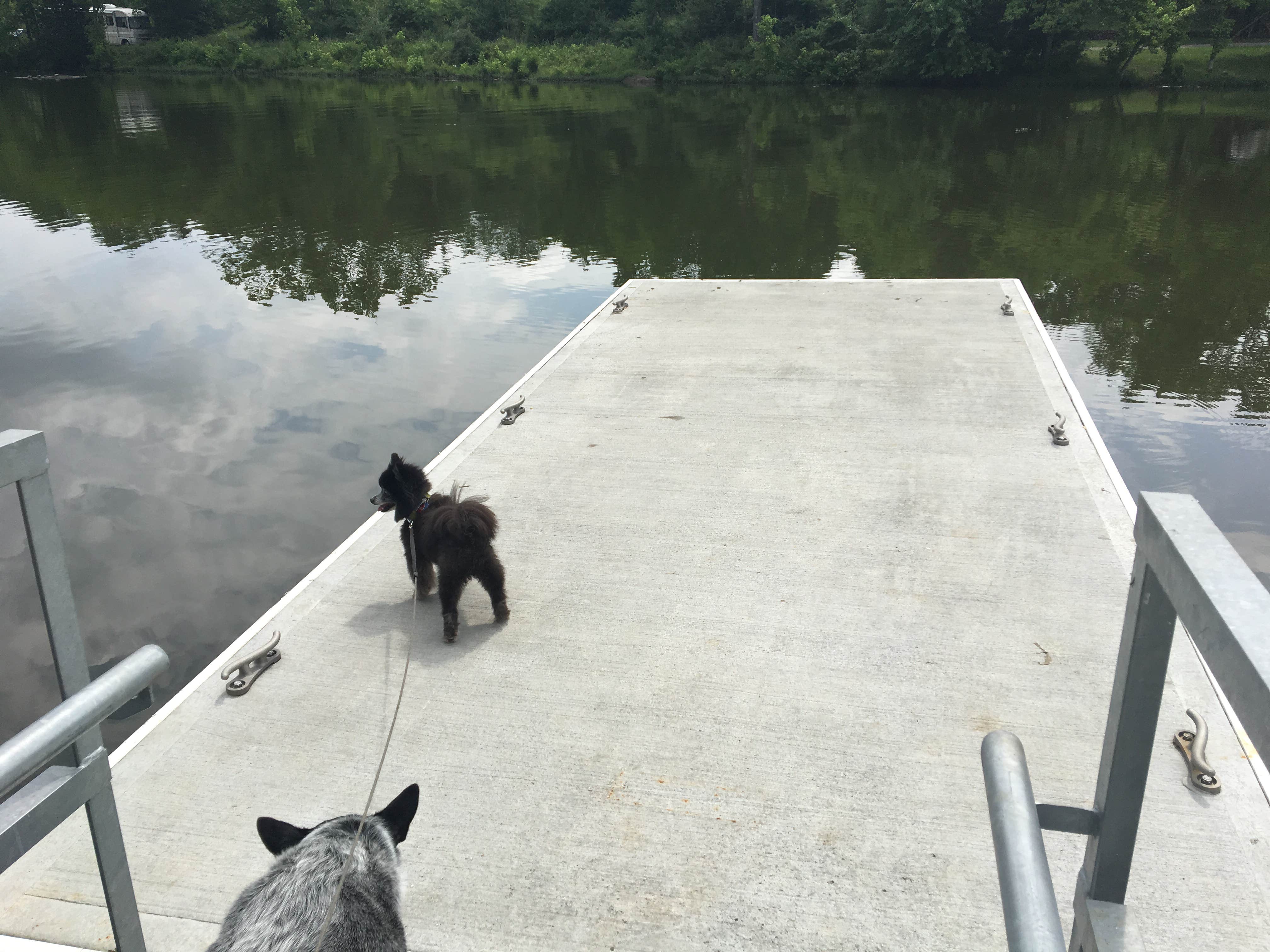 Camper submitted image from Rockland Recreation Area - 2
