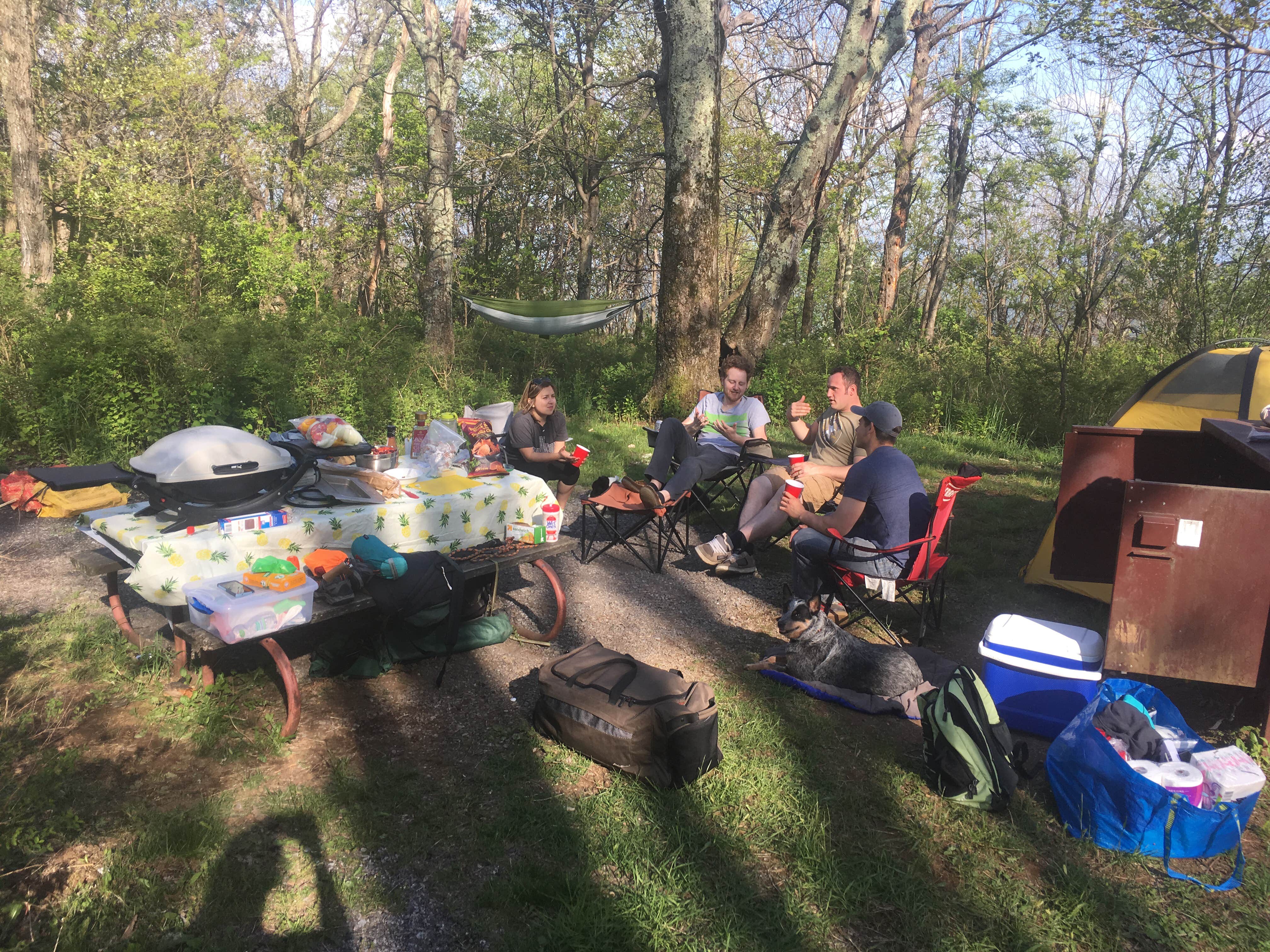 Camper submitted image from Loft Mountain Campground — Shenandoah National Park - 5