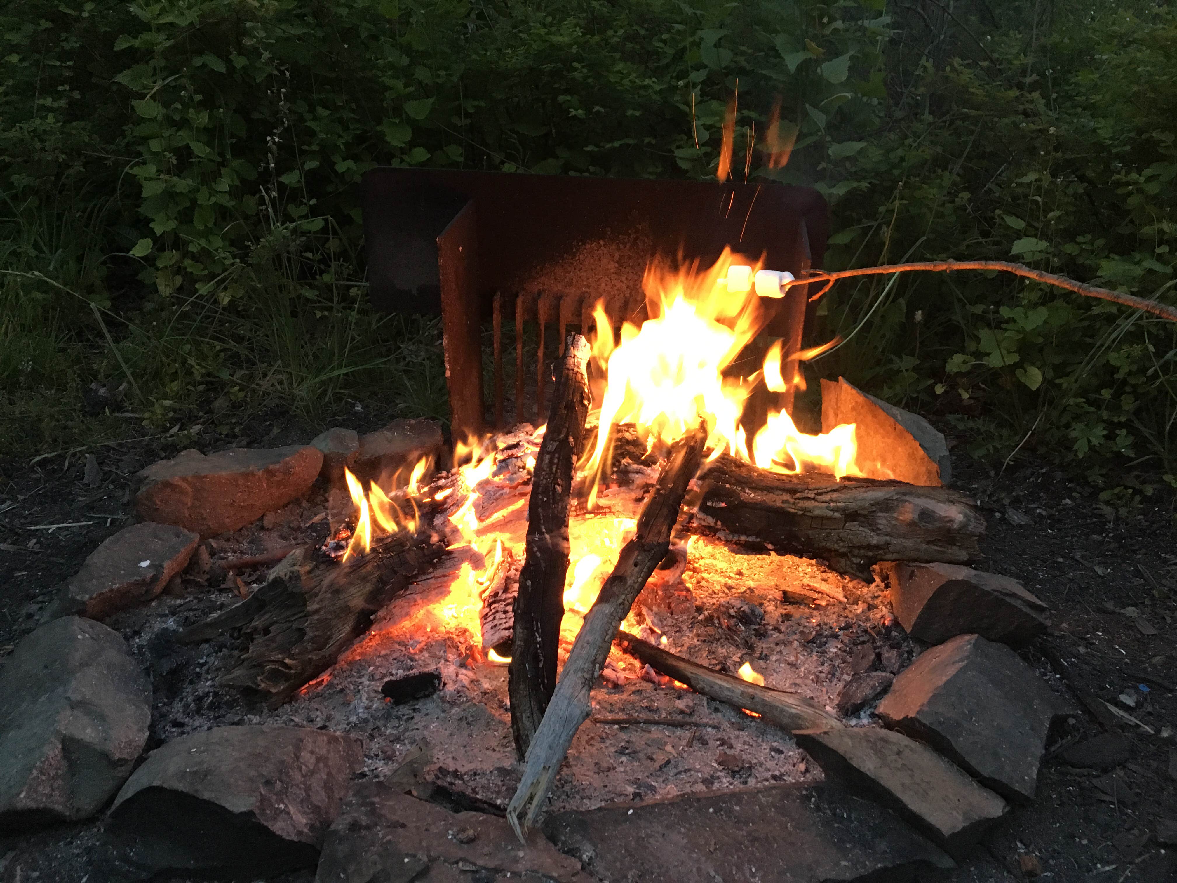 Molly G.'s photo at Loft Mountain Campground — Shenandoah National Park near Dyke, VA