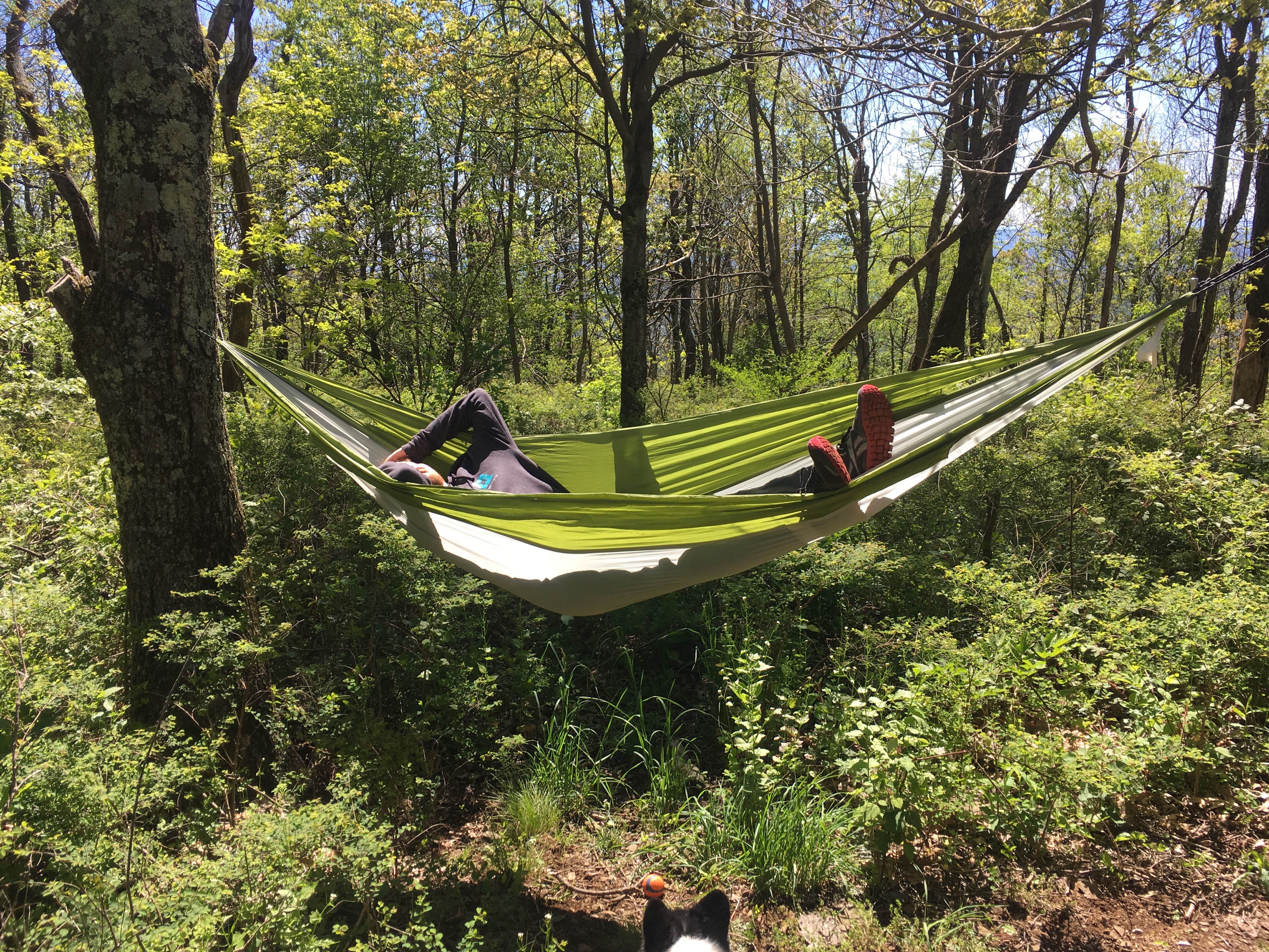 Camper-submitted photo at Loft Mountain Campground — Shenandoah National Park in Virginia