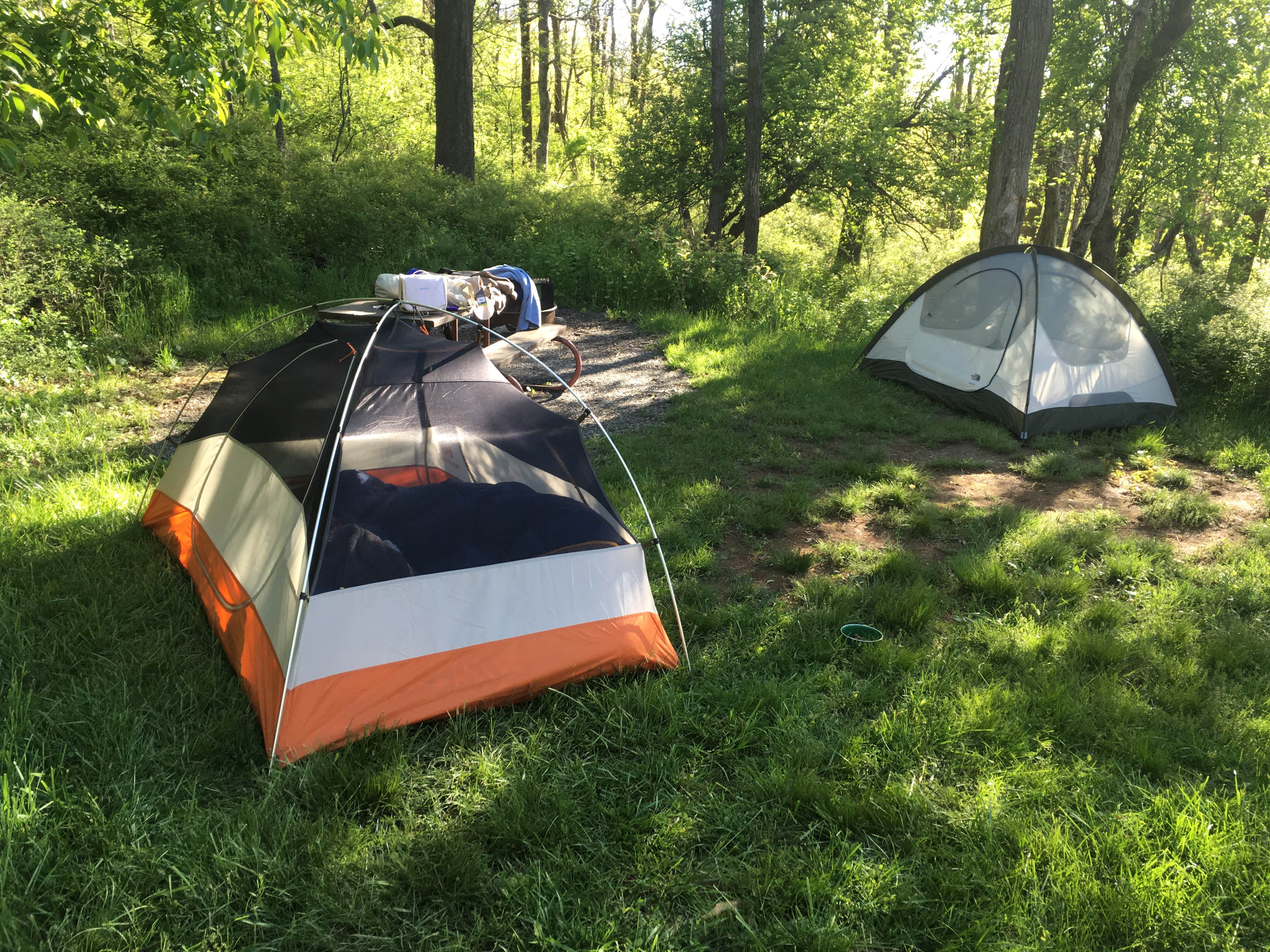 Molly G.'s photo at Loft Mountain Campground — Shenandoah National Park near Crimora, VA