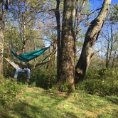 Review photo of Loft Mountain Campground — Shenandoah National Park by Molly G., May 19, 2017