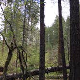 Review photo of Oklahoma Campground by Bjorn S., May 19, 2017