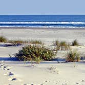 Review photo of Hammocks Beach Bear Island Campsites — Hammocks Beach State Park by Chris B., June 18, 2016