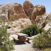 Review photo of Indian Cove Campground — Joshua Tree National Park by Jen G., May 20, 2017