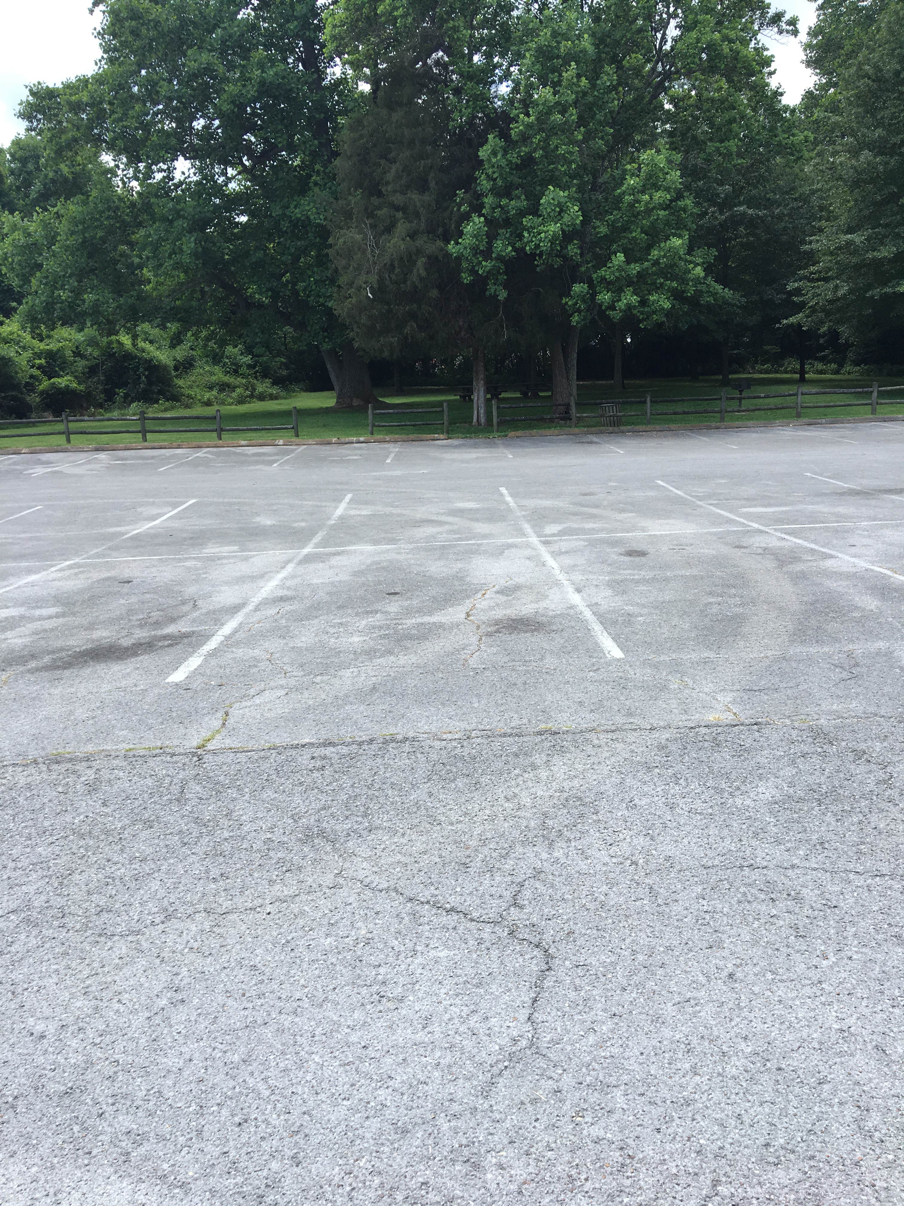 Camper submitted image from Old Hickory Beach - 3