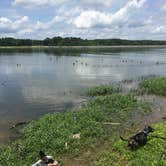 Review photo of Old Hickory Beach by Shelly S., May 20, 2017