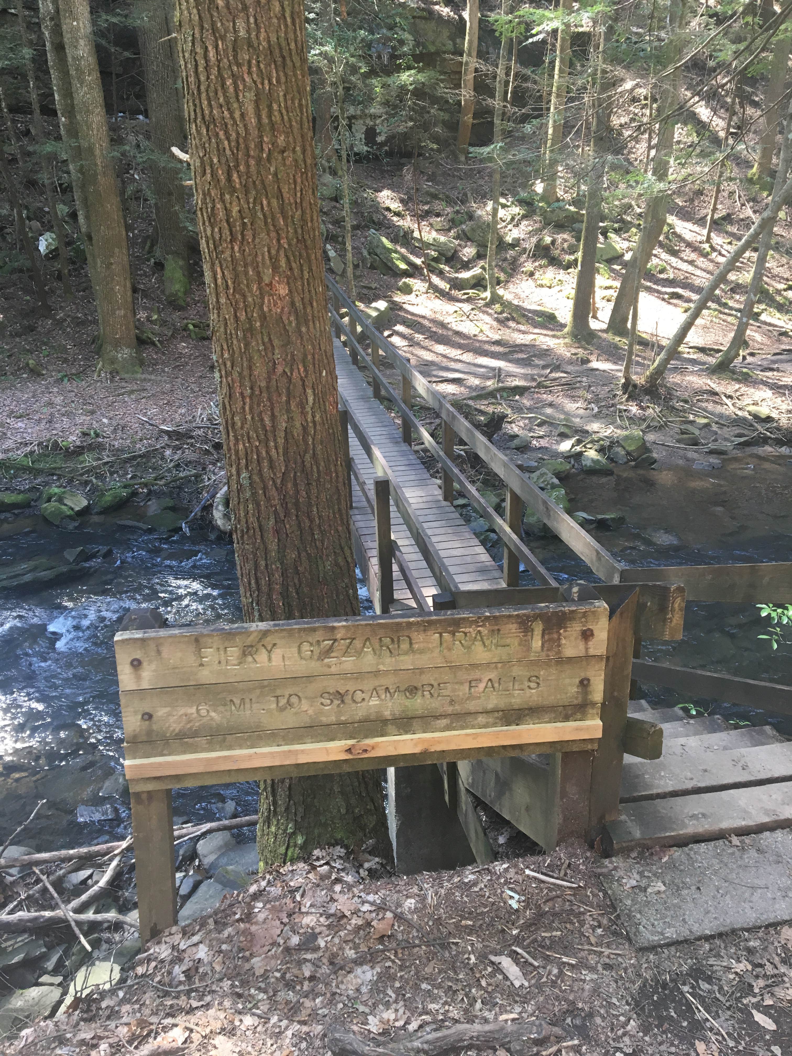 Camper submitted image from Grundy Forest - 3