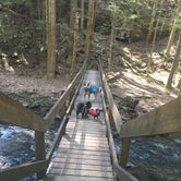 Review photo of Grundy Forest by Shelly S., May 20, 2017