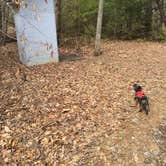 Review photo of Grundy Forest by Shelly S., May 20, 2017