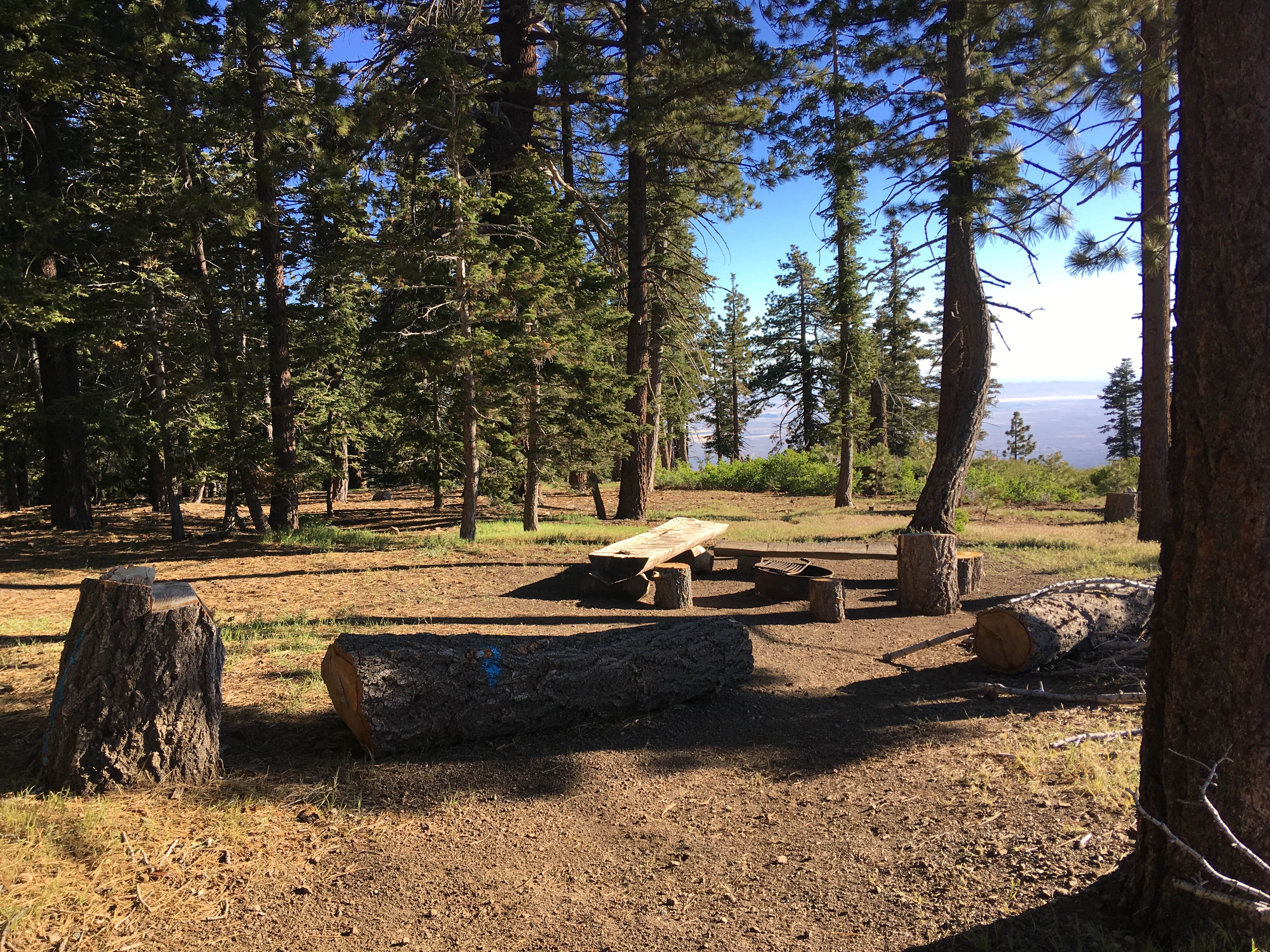 Camper submitted image from Jackson Flats - 2