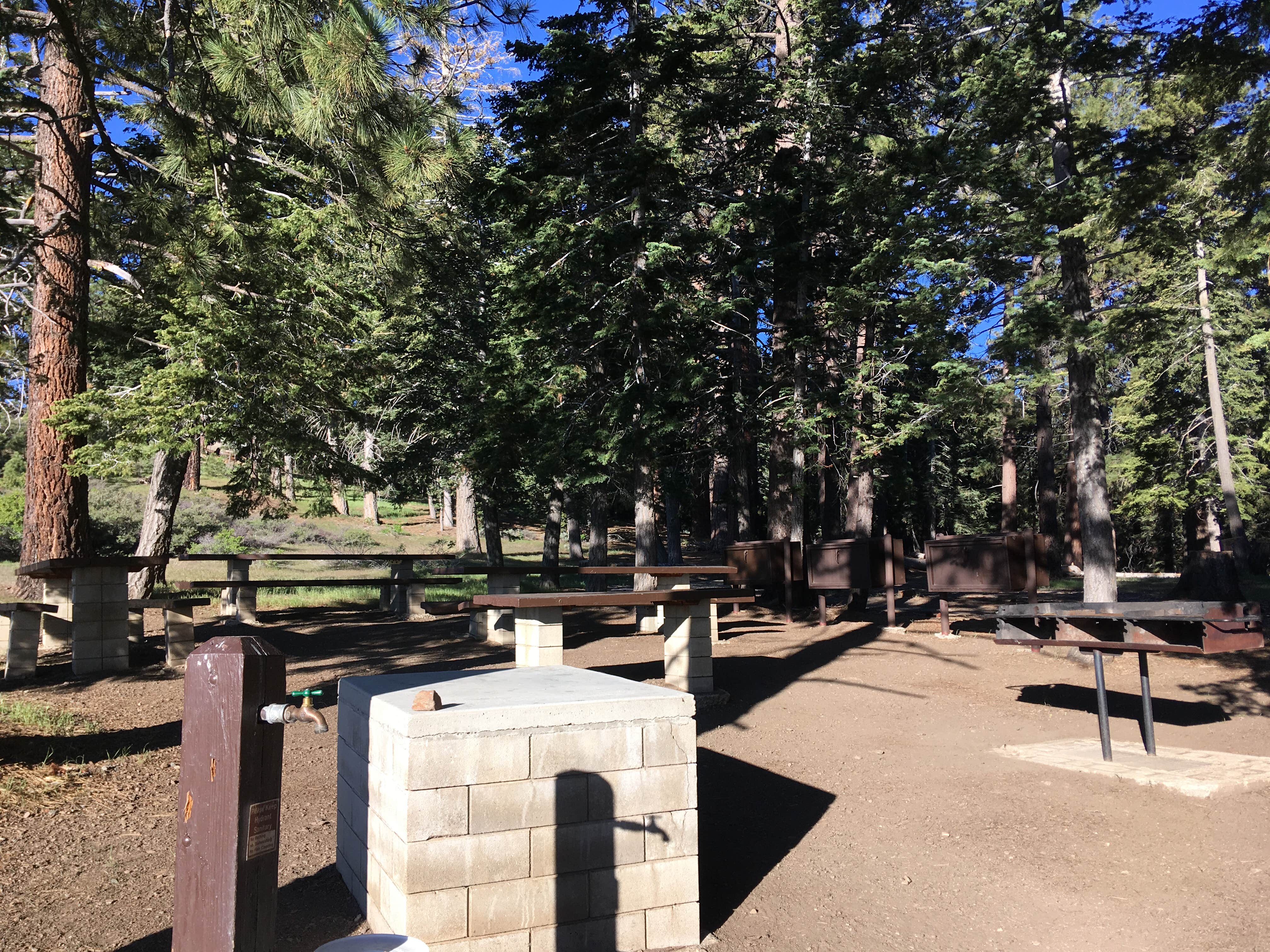 Camper submitted image from Jackson Flats - 4