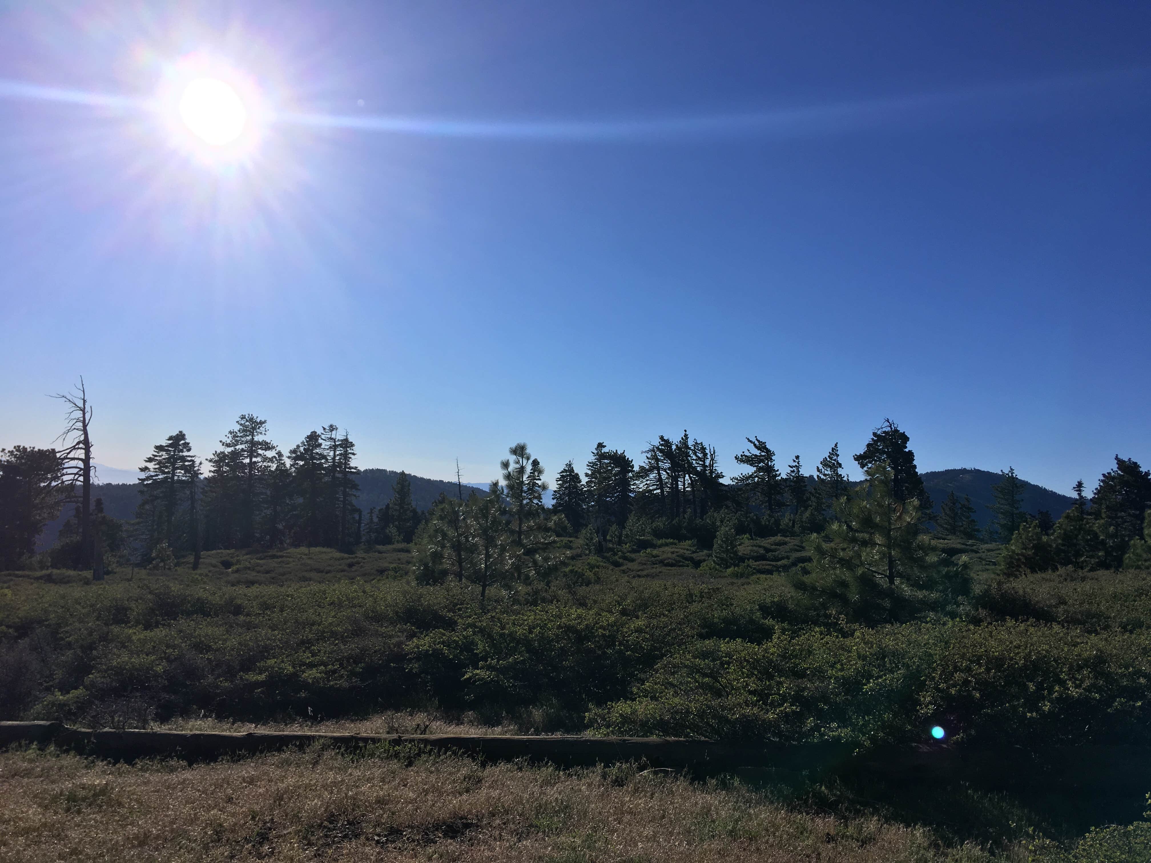 Camper-submitted photo at Jackson Flats near Mount Baldy, CA