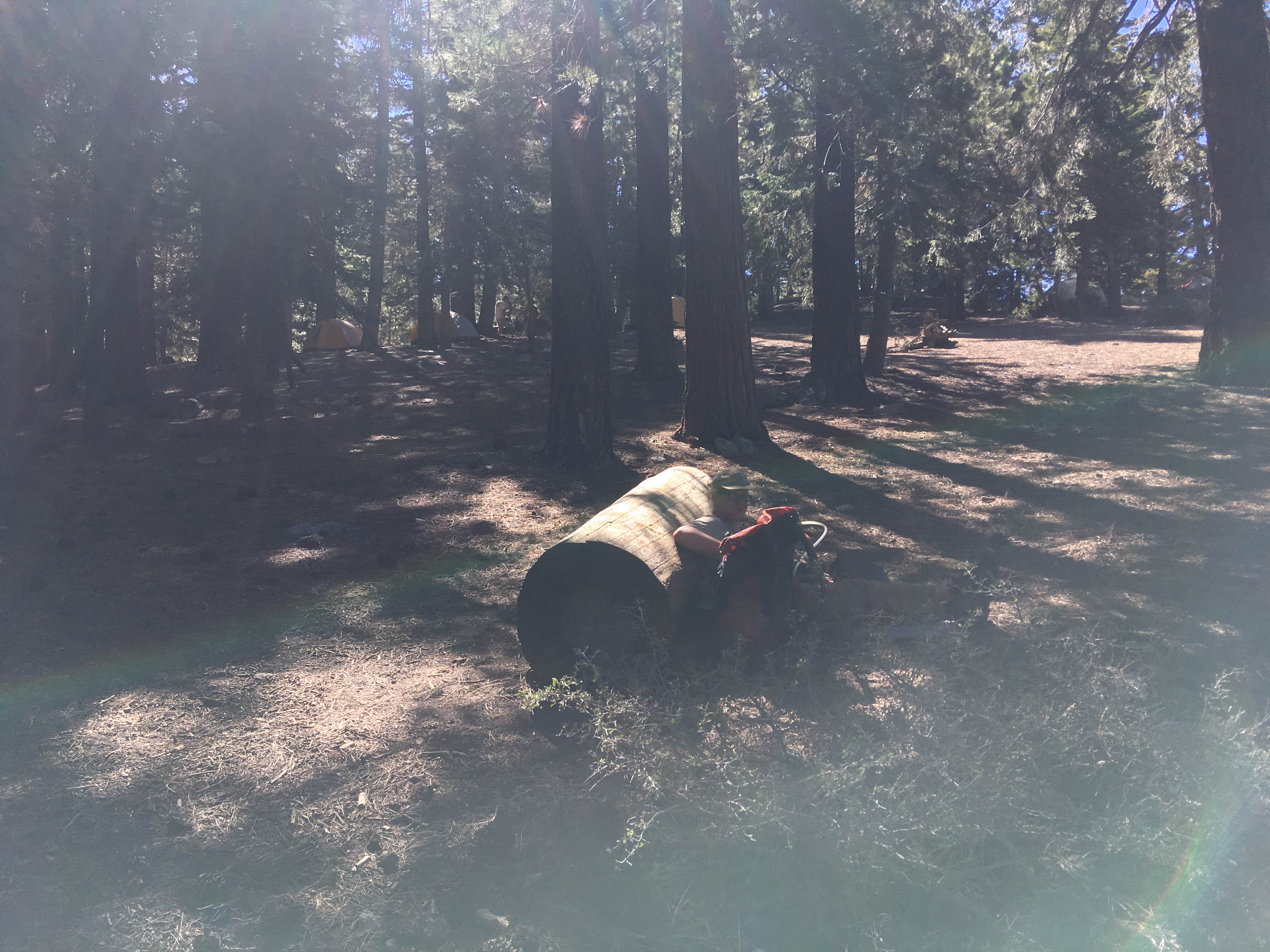 Camper submitted image from Little Jimmy Trail Campground - 5
