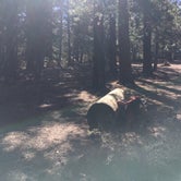 Review photo of Little Jimmy Trail Campground by Alexa S., May 21, 2017
