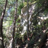 Review photo of Larrabee State Park Campground by Tony G., May 21, 2017