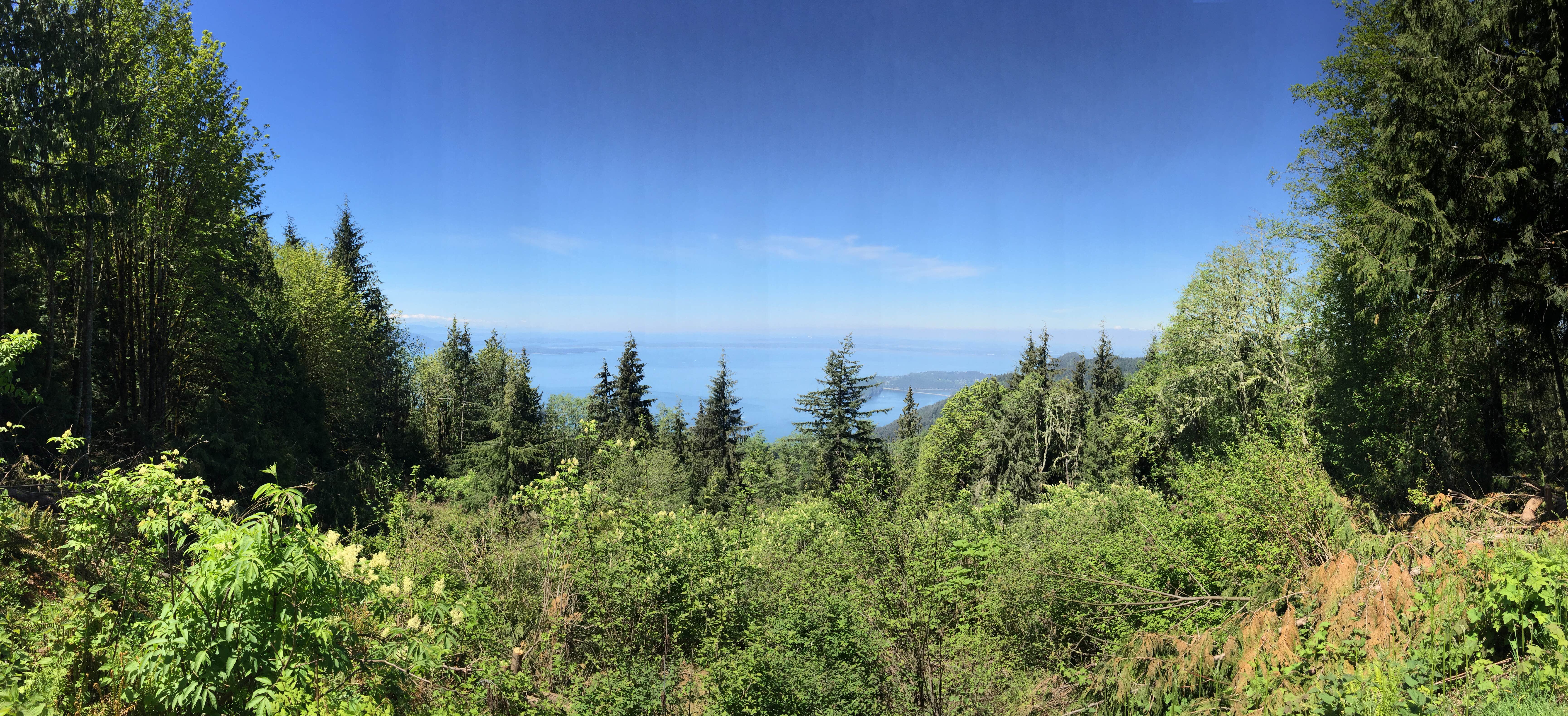 Camper submitted image from Larrabee State Park Campground - 1