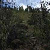 Review photo of Bonney Crossing by Bjorn S., May 21, 2017