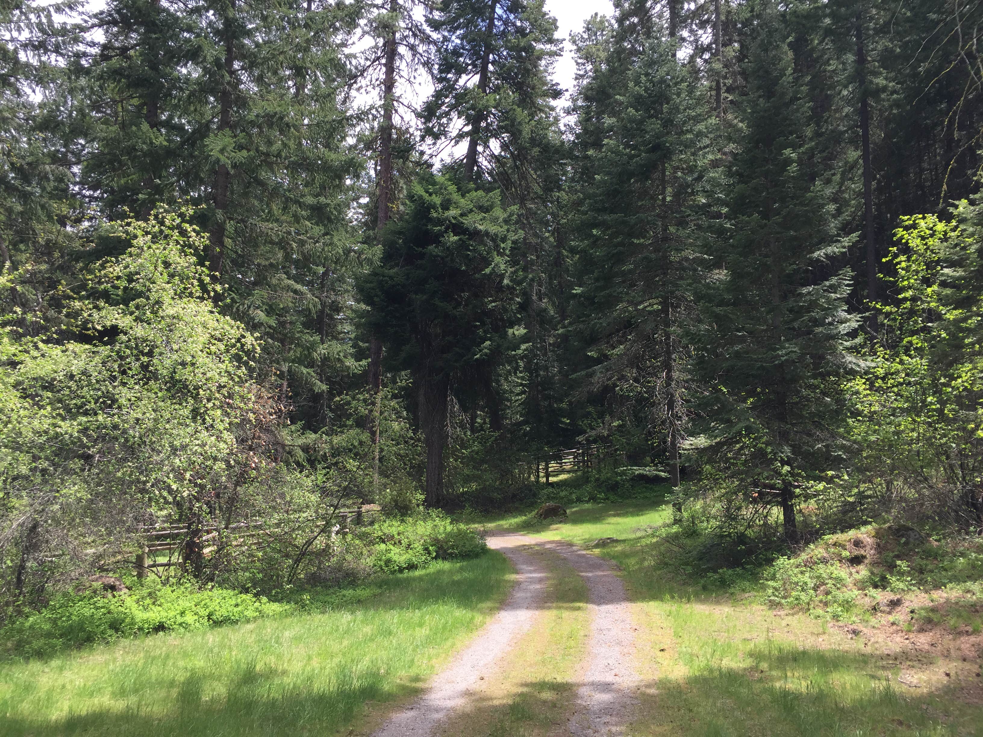 Camper-submitted photo at Bonney Crossing near Rhododendron, OR