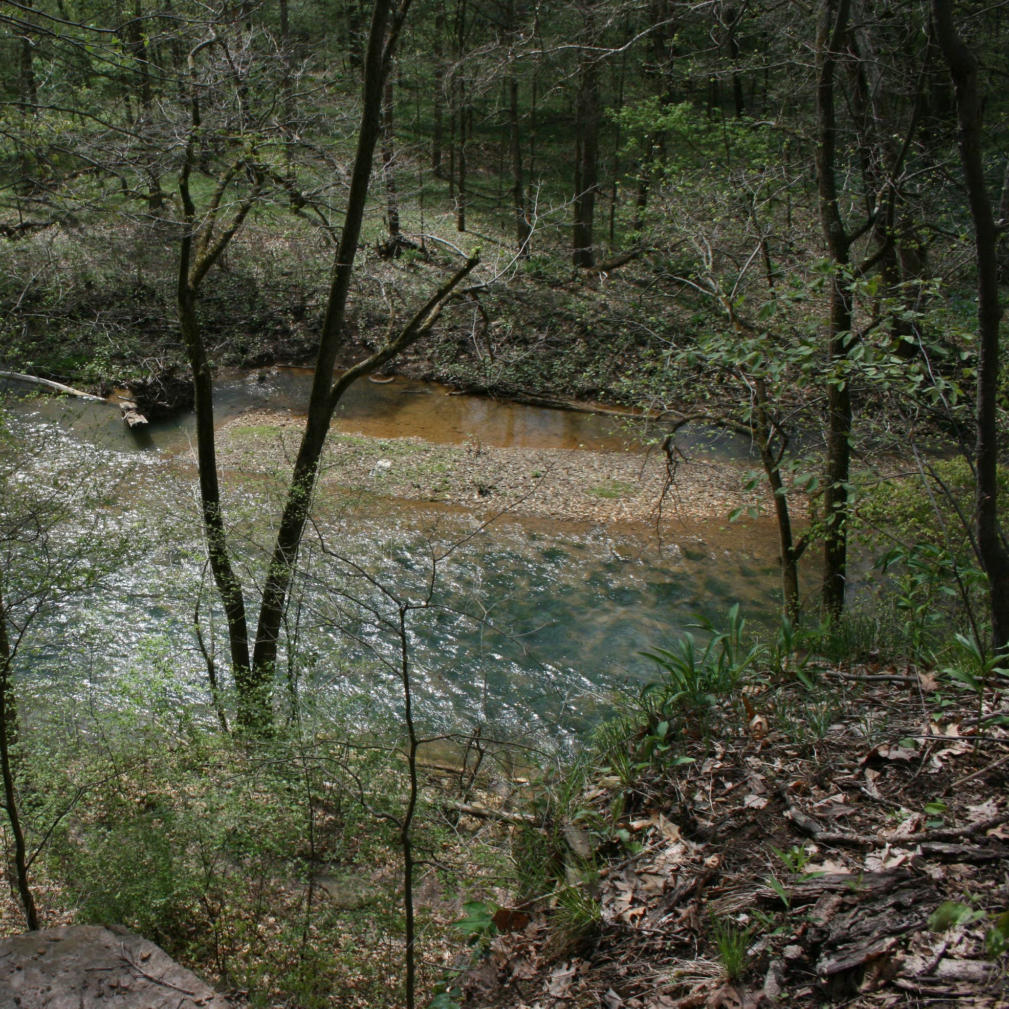Raccoon Creek State Park Camping The Dyrt