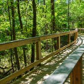 Review photo of Falling Waters State Park Campground by Sasha W., May 22, 2017