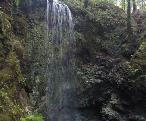 Camper-submitted photo at Falling Waters State Park Campground near Westville, FL