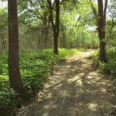 Review photo of Falling Waters State Park Campground by Sasha W., May 22, 2017