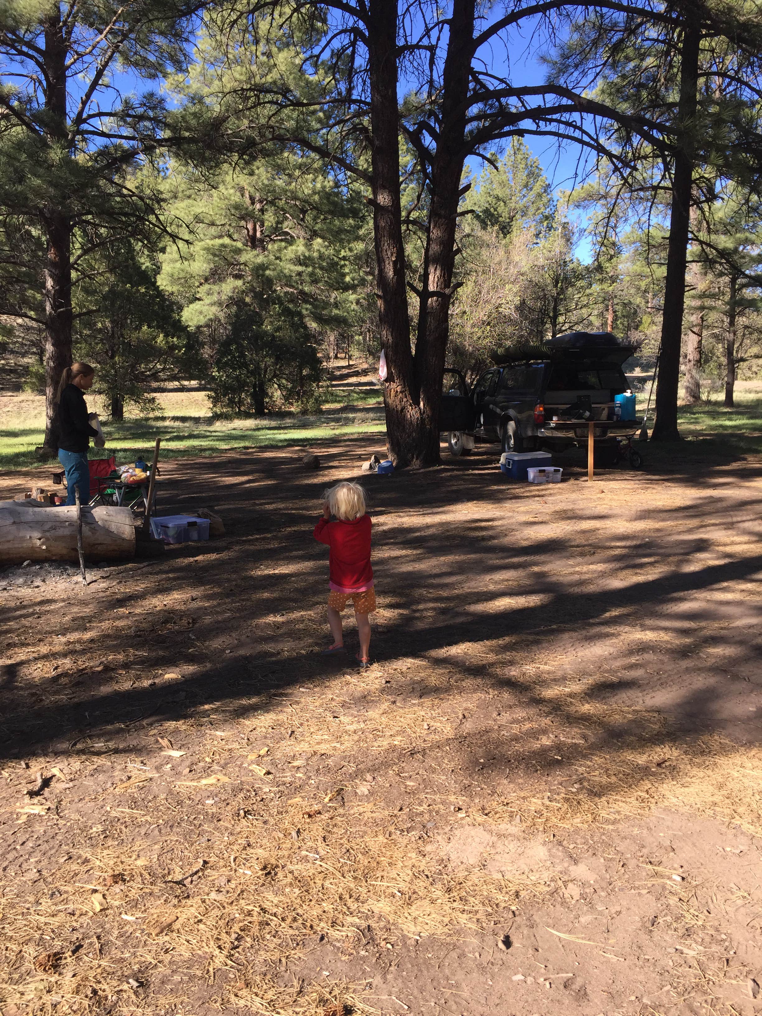 Camper-submitted photo at El Caso near Quemado, NM