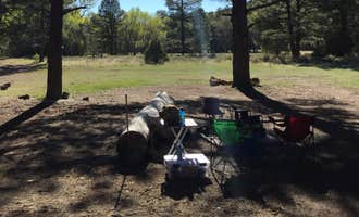 Camping near Armijo Springs Campground: El Caso, Quemado, New Mexico