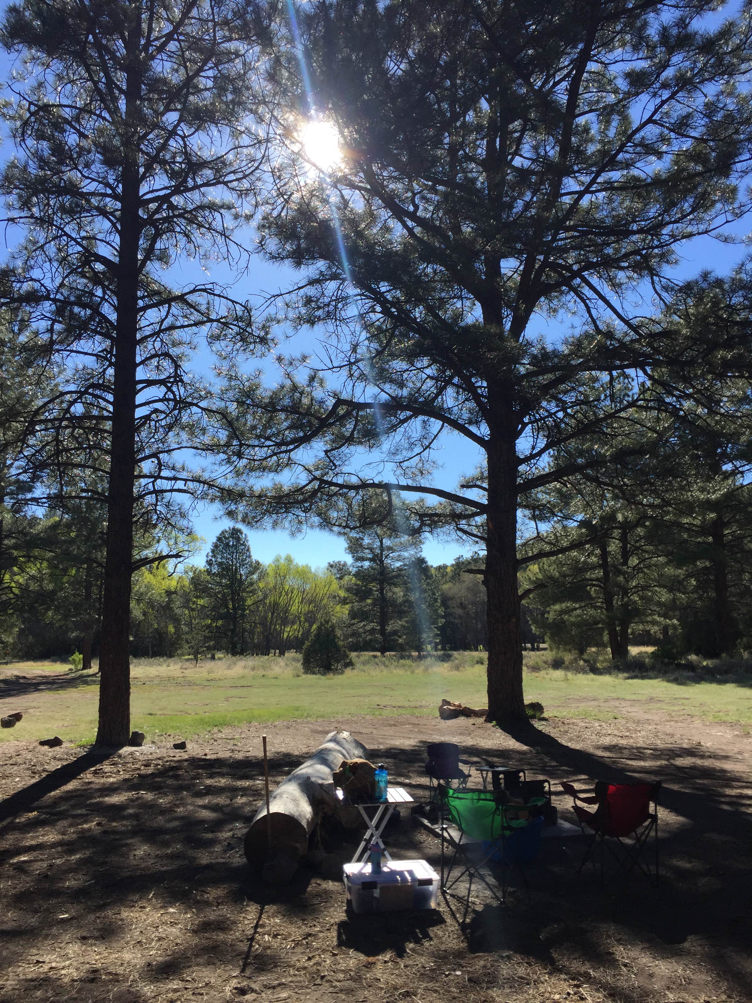 Camper submitted image from El Caso - 1